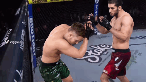 Two Men Fighting In Ring GIF