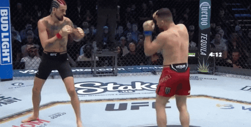 Two Men Fighting in Ring With Bud Light Banner