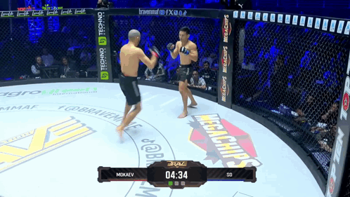 Two Men Fighting in Ring With Megachips Banner