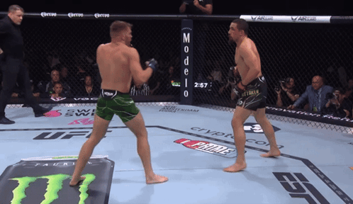 Two Men Fighting In Ring With Model 0 Sign GIF