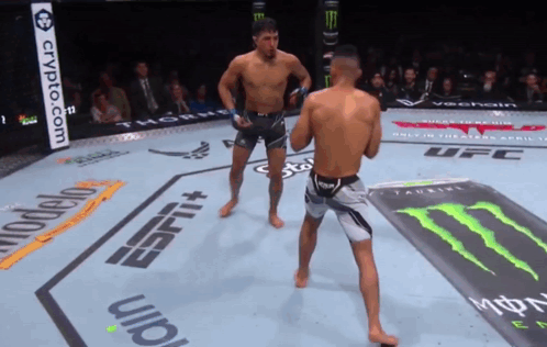 Two Men Fighting in Ring with Monster Energy Ad