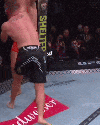 Two Men Fighting In Ring With Shelter Sign GIF