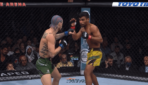 Two Men Fighting in Ring With Toyota Ad