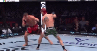 Two Men Fighting in Ring with UFC