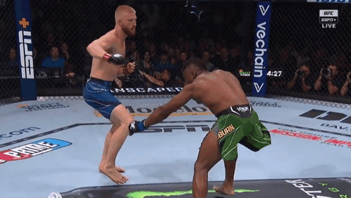 Two Men Fighting in Ring with VeChain Banner