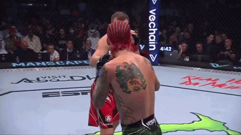 Two Men Fighting in Ring With VeChain Sign
