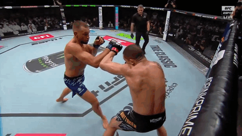Two Men Fighting In UFC Boxing Ring GIF