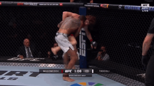 Two Men Fighting in UFC Cage with Fight Pass