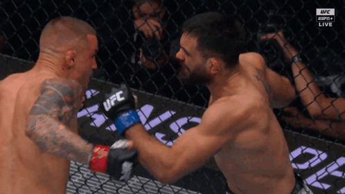 Two Men Fighting In UFC Gloves GIF