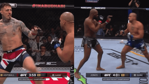 Two Men Fighting in UFC Heavyweight