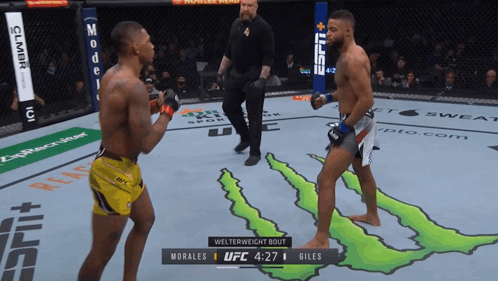 Two Men Fighting In UFC Match Score Morales 1 Giles 0 GIF