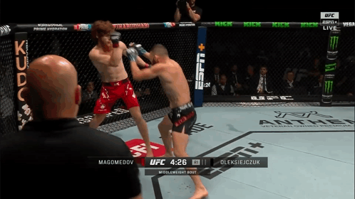 Two Men Fighting in UFC Ring