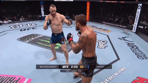 Two Men Fighting In UFC Ring One In Blue Shirt Saying Meerschaert GIF