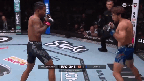 Two Men Fighting in UFC Ring