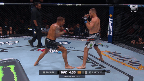 Two Men Fighting in UFC Ring Poirier