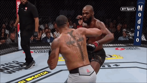 Two Men Fighting in UFC Ring