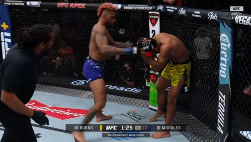 Two Men Fighting In UFC Ring With Budweiser Ad GIF