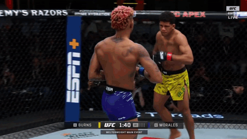 Two Men Fighting In UFC Ring With ESPN Logo GIF