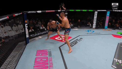 Two Men Fighting In UFC Ring With Naked Gun GIF