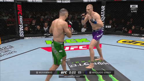Two Men Fighting In UFC Ring With UFC Fight Pass Logo GIF