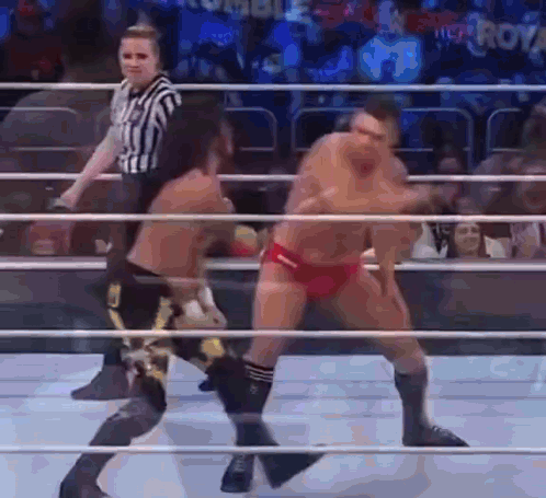 Two Men Fighting in Wrestling Ring With Referee
