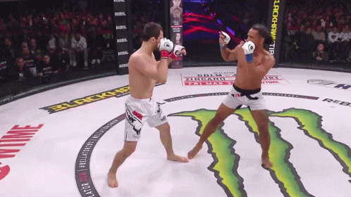 Two Men Fighting Monster in Boxing Ring