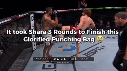 Two Men Fighting Shara 3 Rounds Glorified Punching Bag