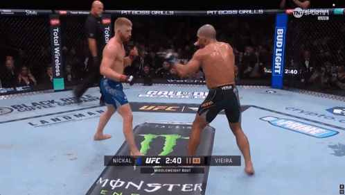 Two Men Fighting With Bud Light In Boxing Ring GIF