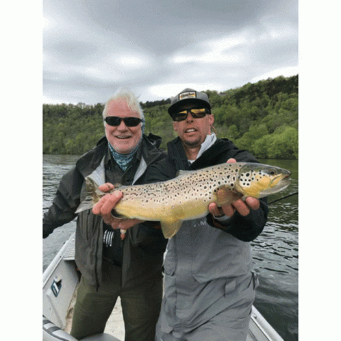Two Men In A Boat Holding A Brown Trout With One Wearing A Hat That Says ' Fishing ' On It GIF