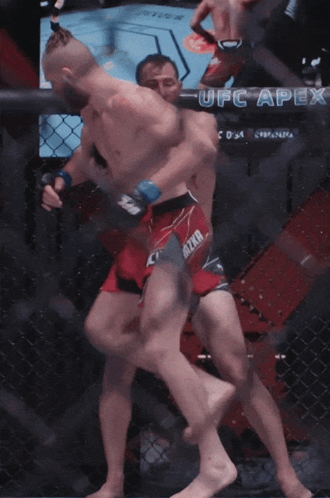 Two Men In A Boxing Ring With Ufc Written On The Fence GIF