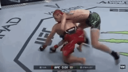 Two Men in Boxing Ring fr99917 l common