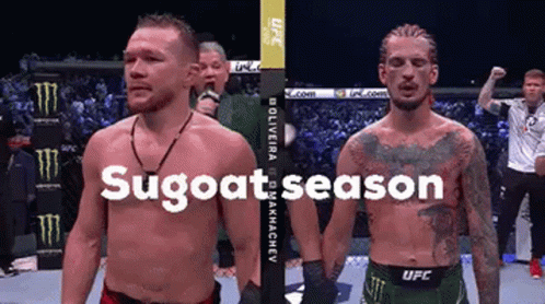 Two Men in Boxing Ring with Sugoat Season