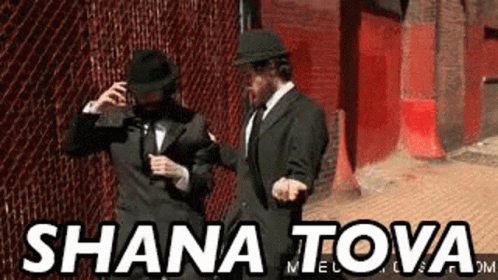 Two Men in Suits and Hats Beside Fence