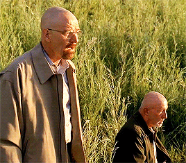 Two Men In Tall Grass One Wearing Glasses GIF