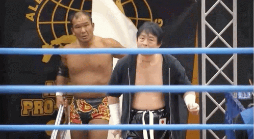 Two Men in Wrestling Ring Pro on Back