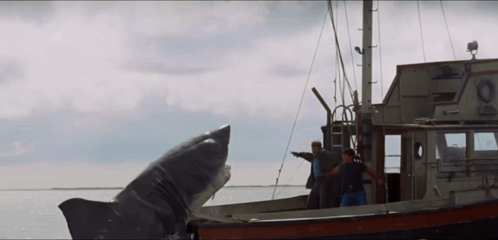 Two Men On A Boat With A Shark Coming Out Of The Water GIF