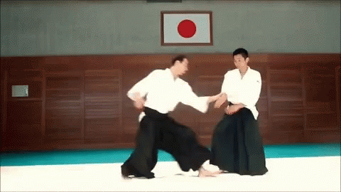 Two Men Practicing Martial Arts in Gym with Japanese Flag