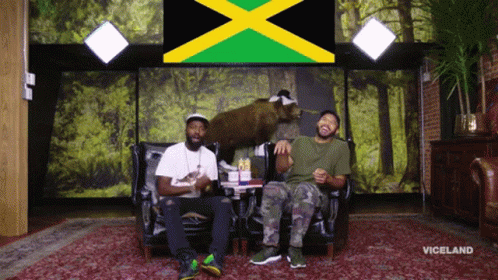 Two Men Sit On A Couch In Front Of A Wall With A Jamaican Flag GIF