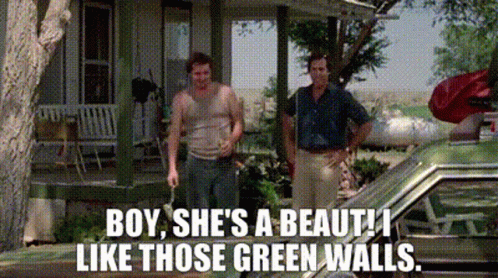 Two Men Standing In Front Of A House With The Words Boy She 'S A Beaut Like Those Green Walls GIF