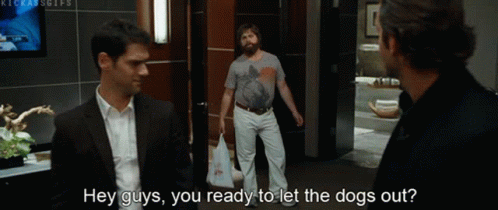 Two Men Talking About Letting Dogs Out GIF