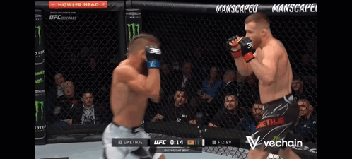 Two Men UFC Cage Fight Sponsored By Monster GIF