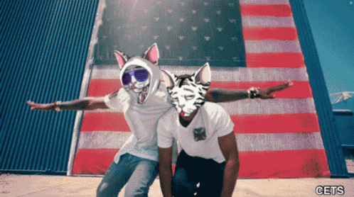 Two Men Wearing Cat Masks Are Posing In Front Of An American Flag With The Letters Cets Below Them GIF