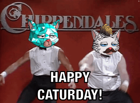Two Men With Cats on Faces Dancing Happy Saturday