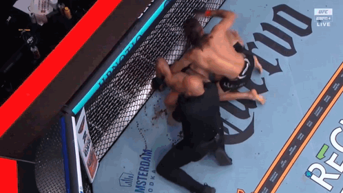 Two Men Wrestling in Cage With UFC Logo
