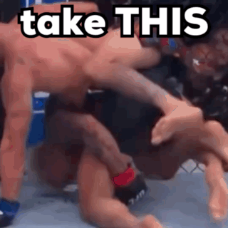 Two Men Wrestling in Ring Saying Take This