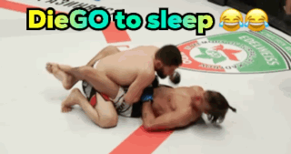Two Men Wrestling in Ring With Diego to Sleep