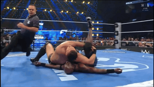 Two Men Wrestling In Ring With Letter W GIF