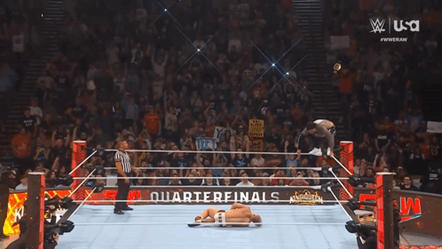 Two Men Wrestling in Ring with MMA Boxing Glove