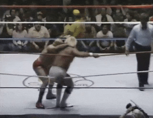Two Men Wrestling in Ring with Referee