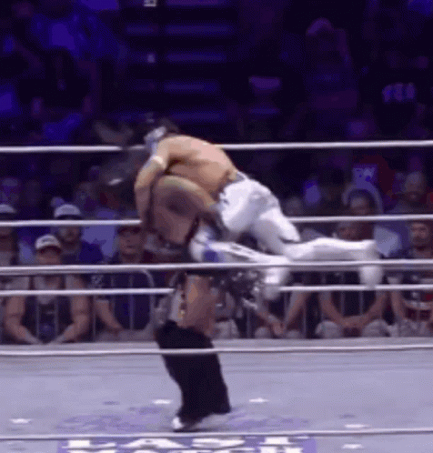 Two Men Wrestling in Ring With Referee